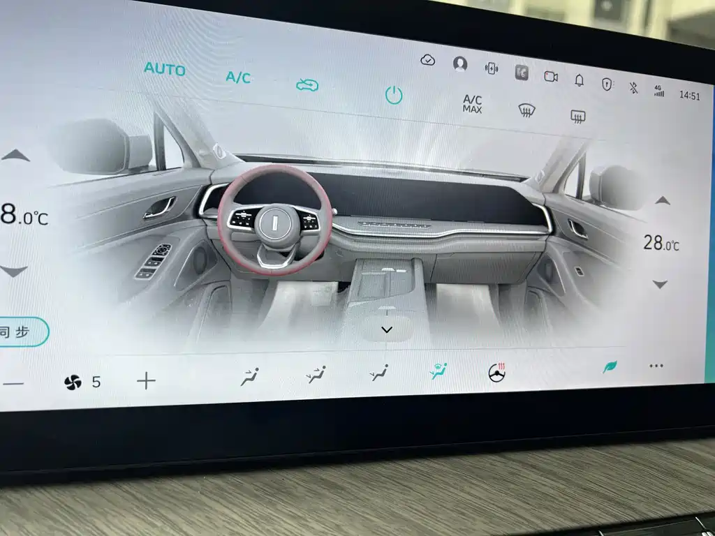 WEI PAI WEI BRAND BLUE MOUNTAIN