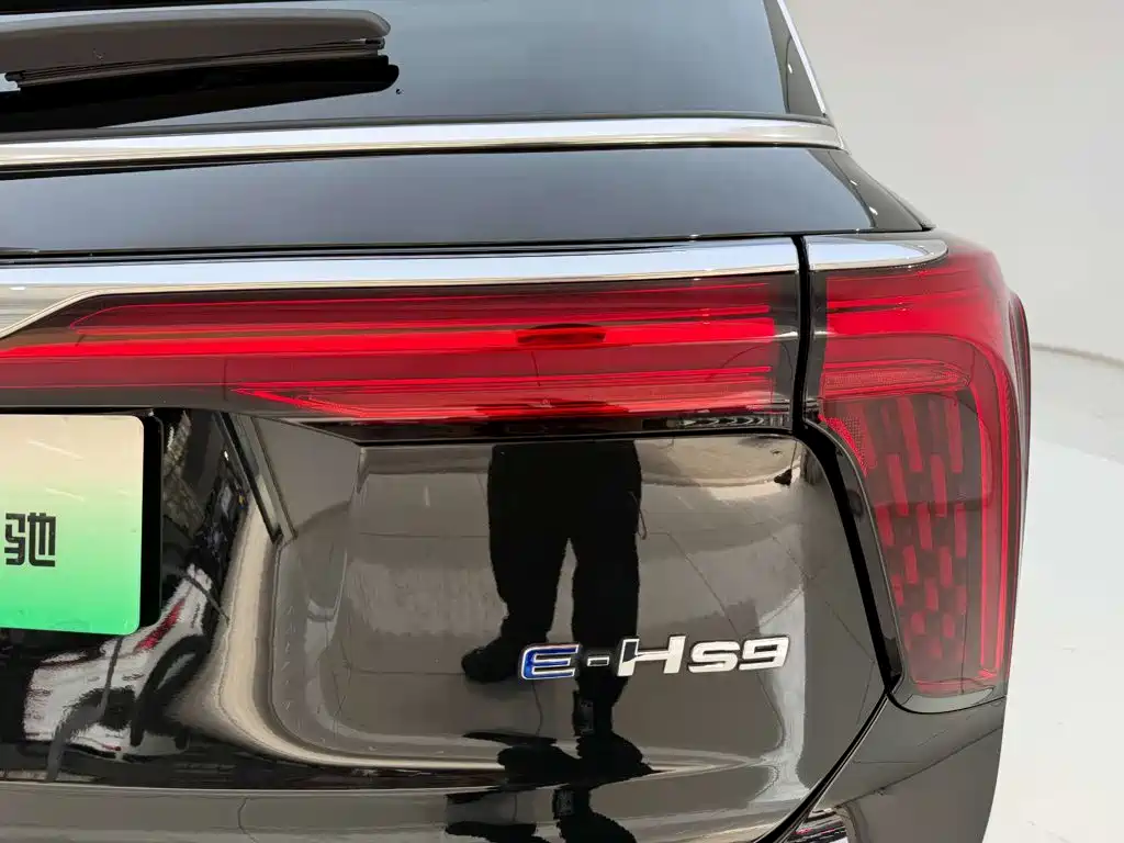 Hongqi Hongqi E-HS9 — миниатюра 10