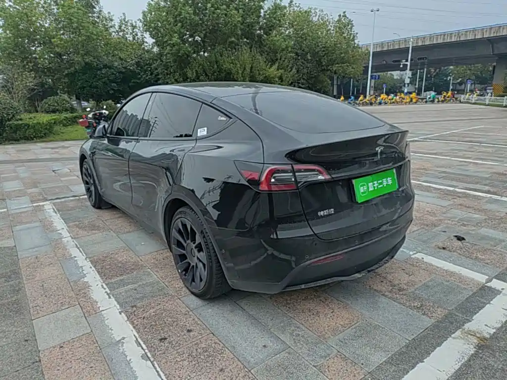 Tesla Model Y — миниатюра 5