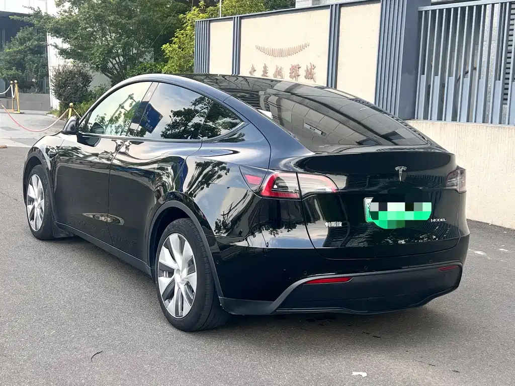 Tesla Model Y — миниатюра 4