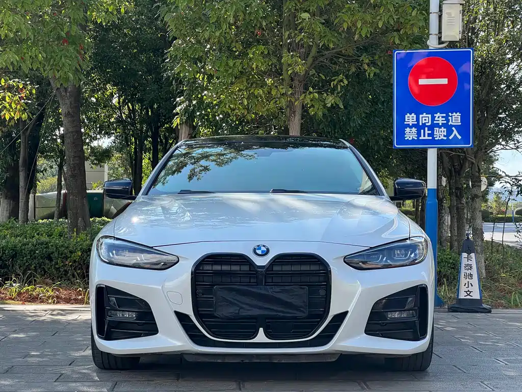 BMW 4 Series — миниатюра 2
