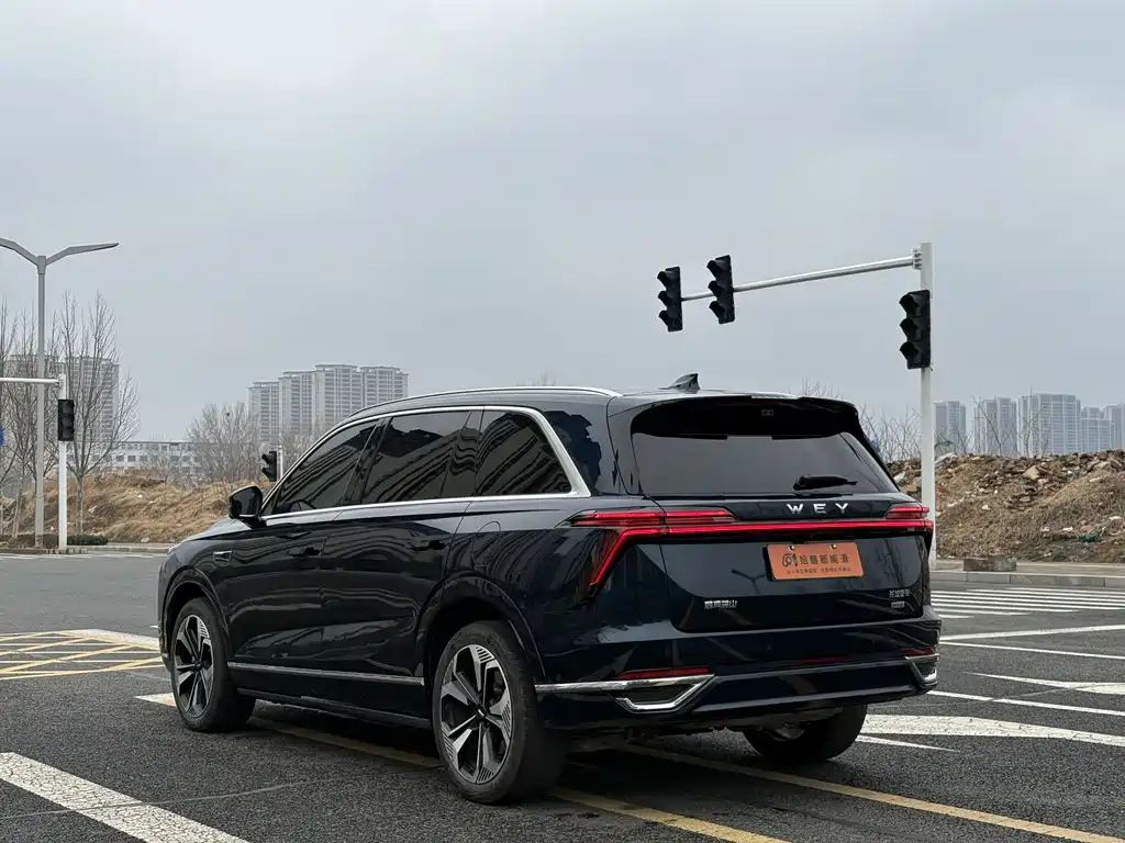 WEI PAI WEI BRAND BLUE MOUNTAIN