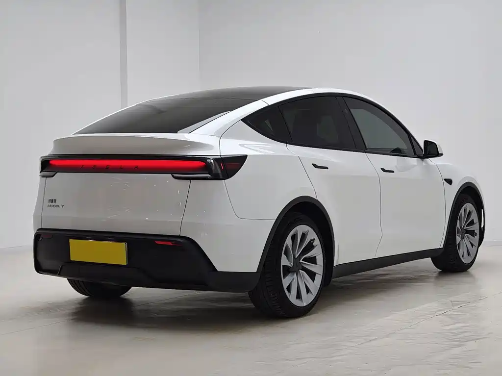 Tesla Model Y — миниатюра 9