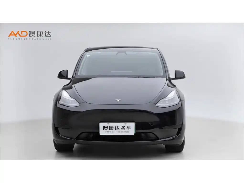 Tesla Model Y — миниатюра 2