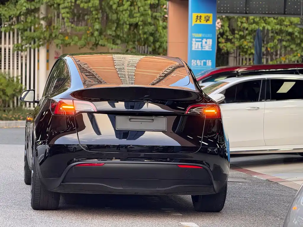 Tesla Model Y — миниатюра 6