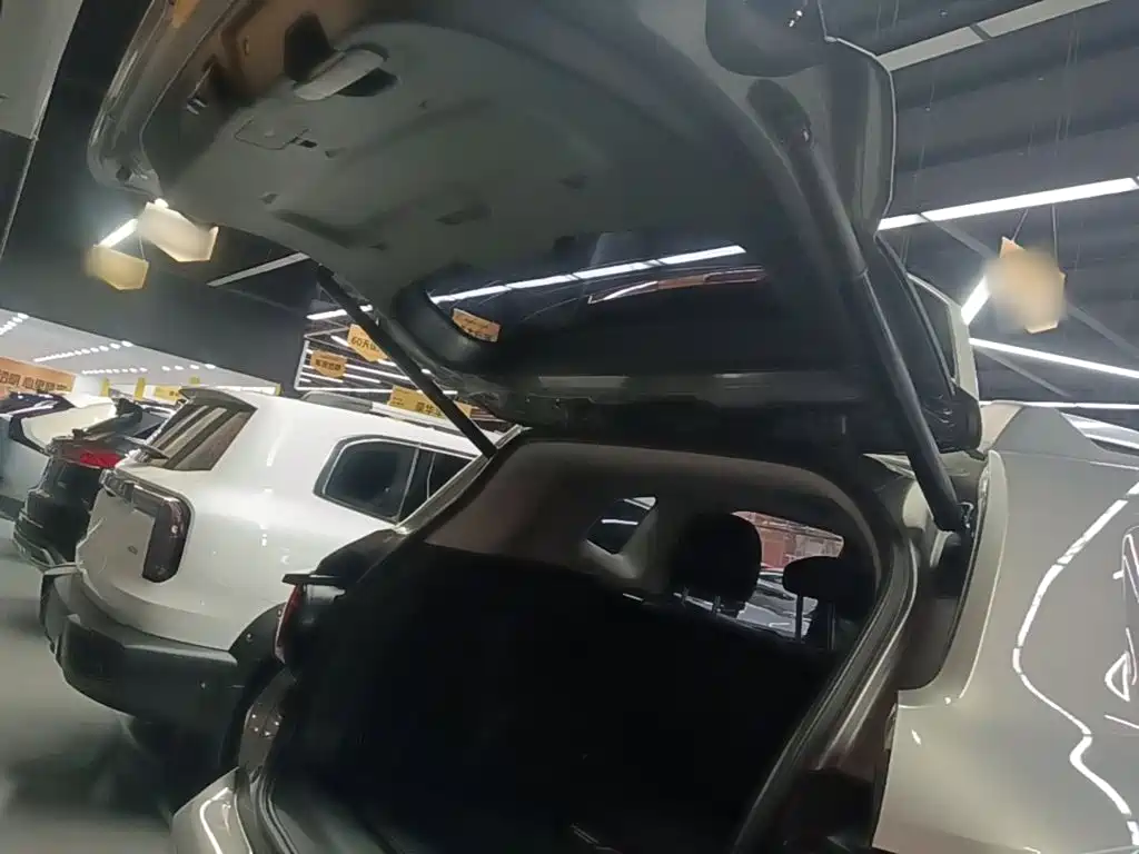Haval Big Dog PLUS — миниатюра 19