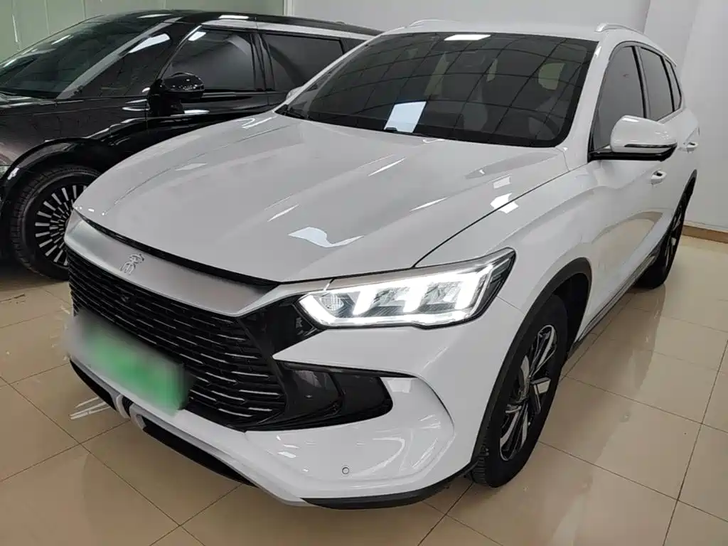 BYD Pro New Energy — миниатюра 2