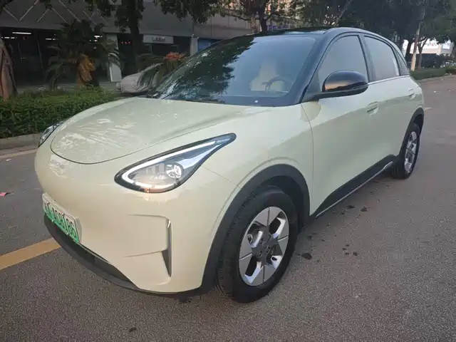 GEELY GALAXY STAR WISH 2024