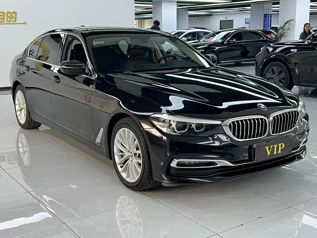 BMW 5 Series 5 2019 530Li Lead Luxury