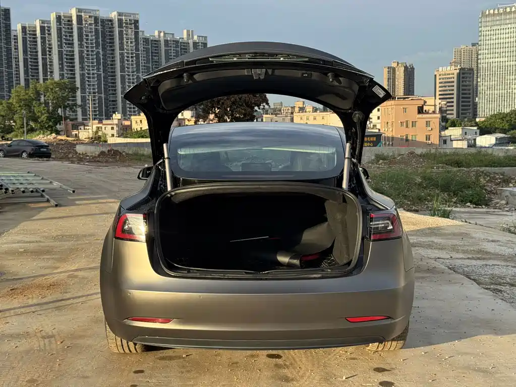 Tesla Model 3 — миниатюра 6