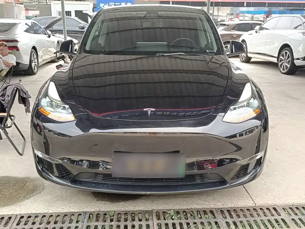 Tesla Model Y — миниатюра 3