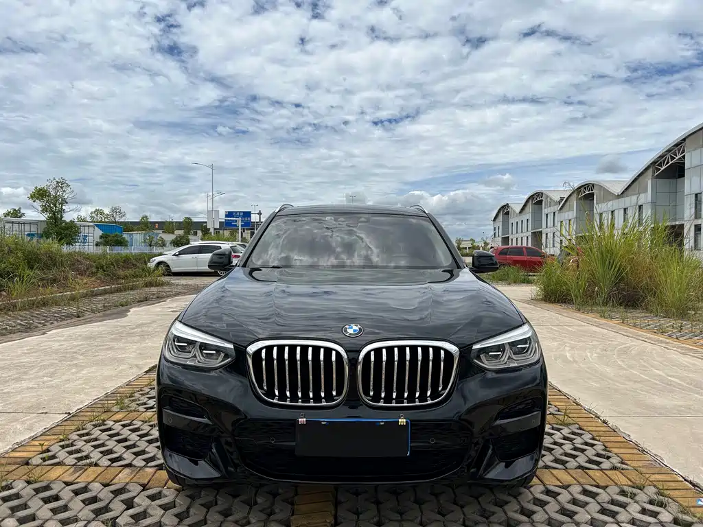 BMW X3 — миниатюра 2