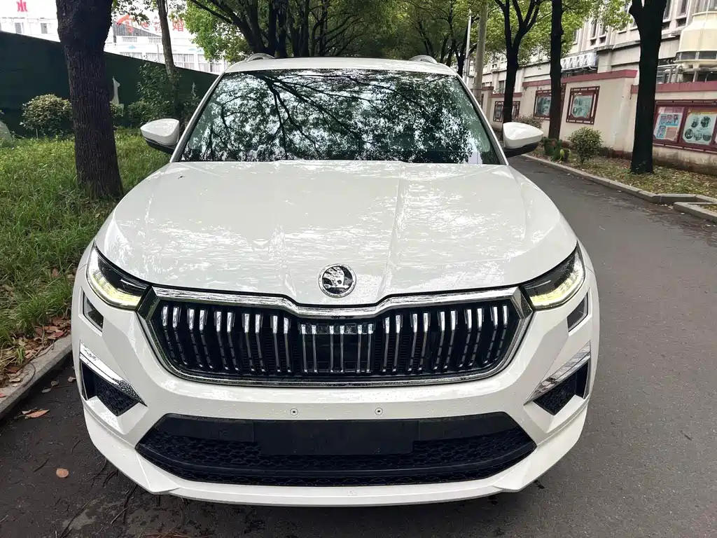 Skoda Kodiaq — миниатюра 2