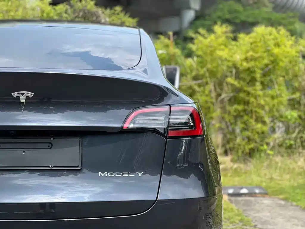Tesla Model Y — миниатюра 8