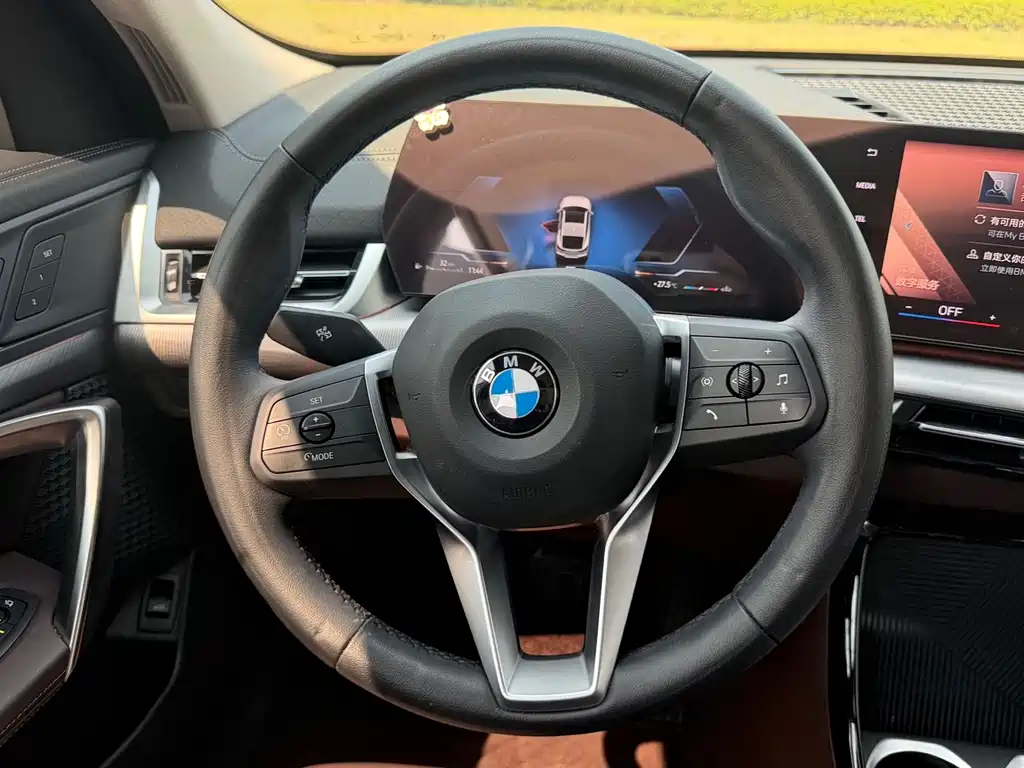 BMW X2 (Import) — миниатюра 11