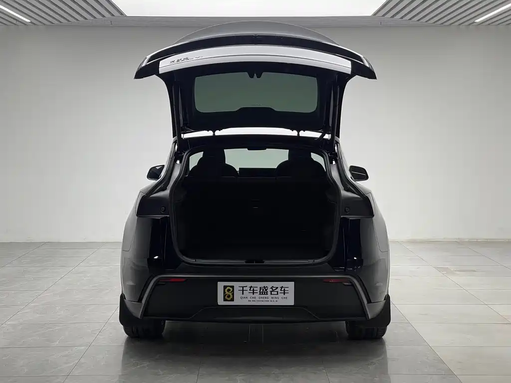 Tesla Model Y — миниатюра 10