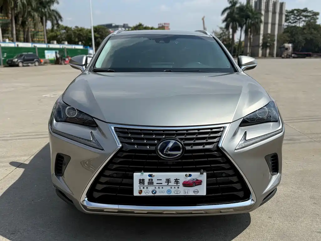 LEXUS NX