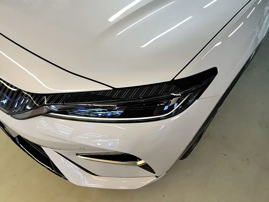 BYD L EV — миниатюра 24
