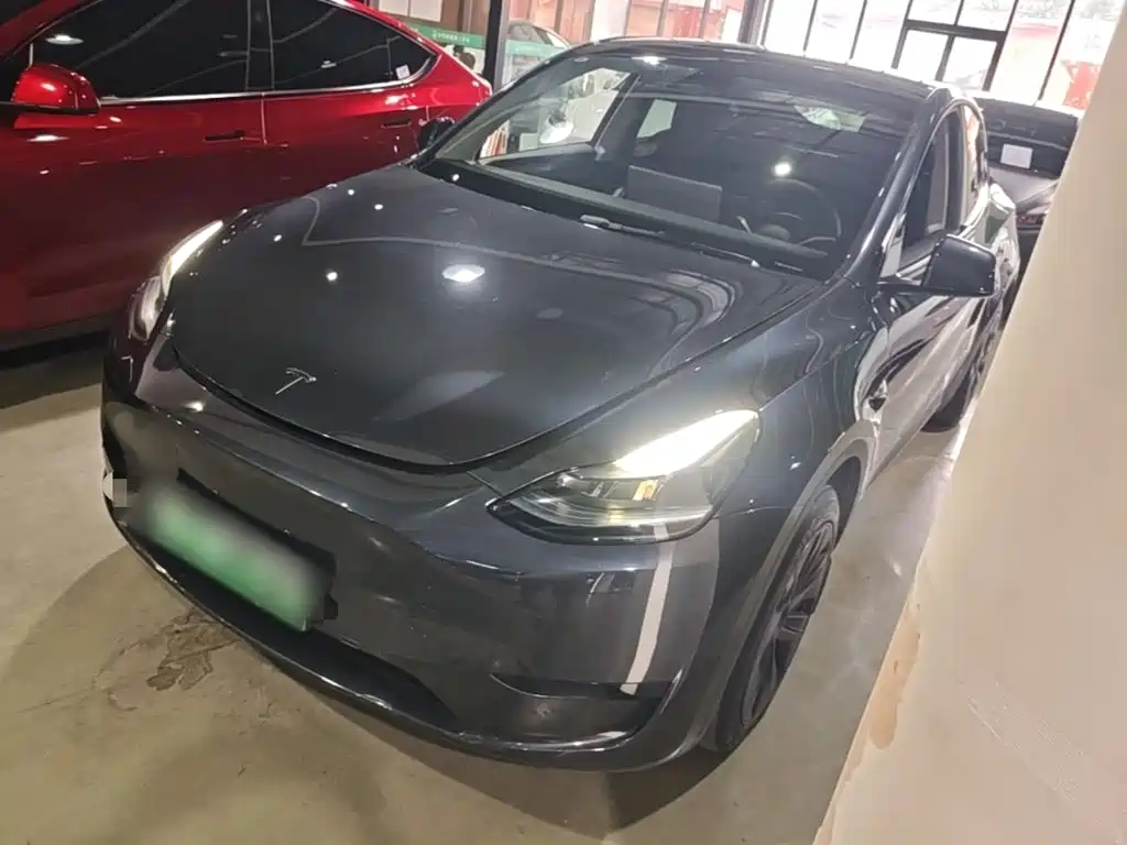 Tesla Model Y — миниатюра 2