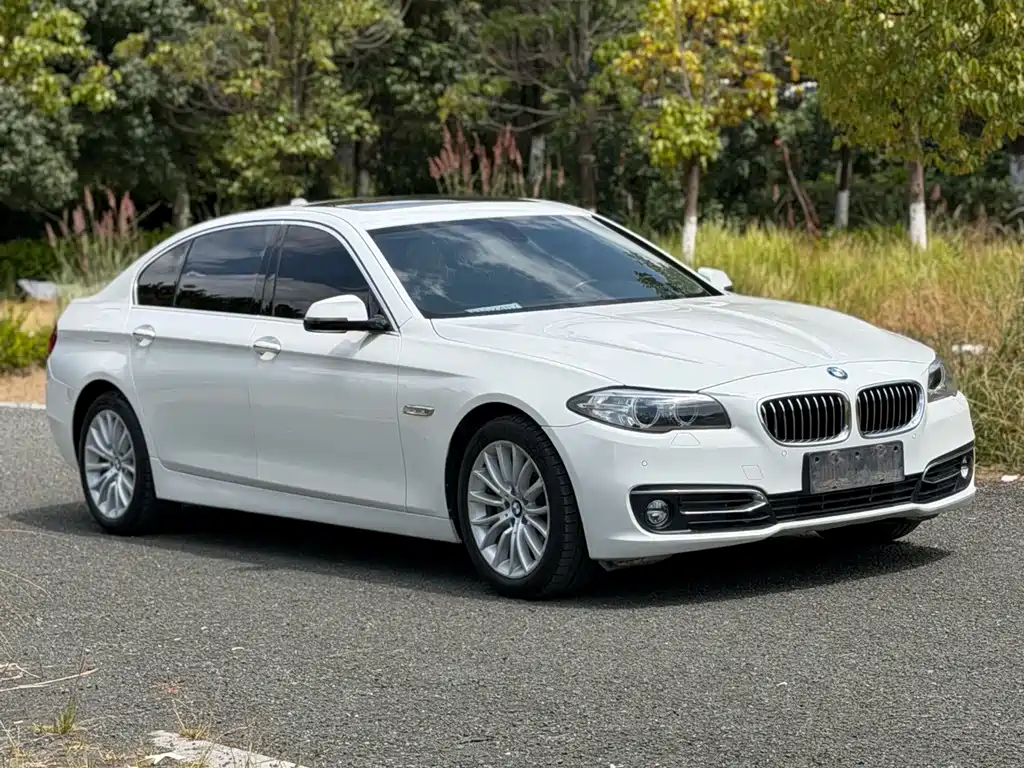 BMW 5 Series — миниатюра 3