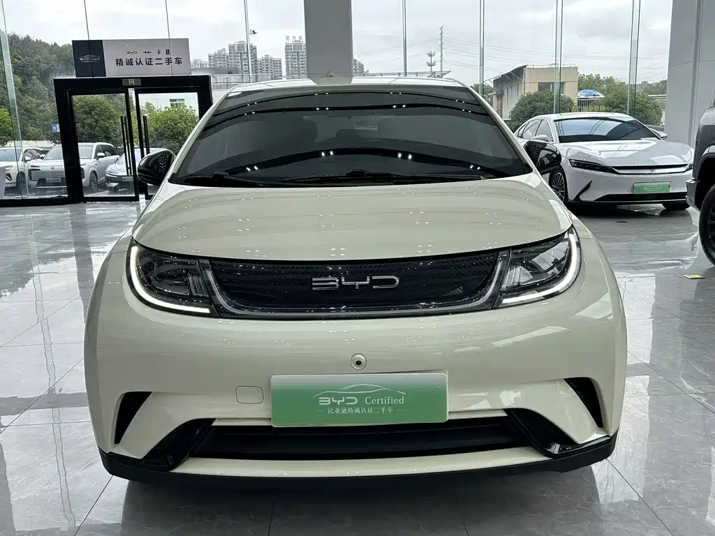 BYD Dolphin — миниатюра 2