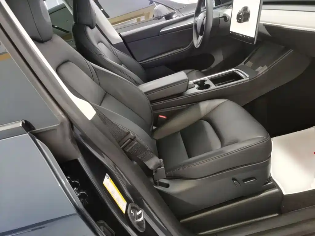 Tesla Model Y — миниатюра 25