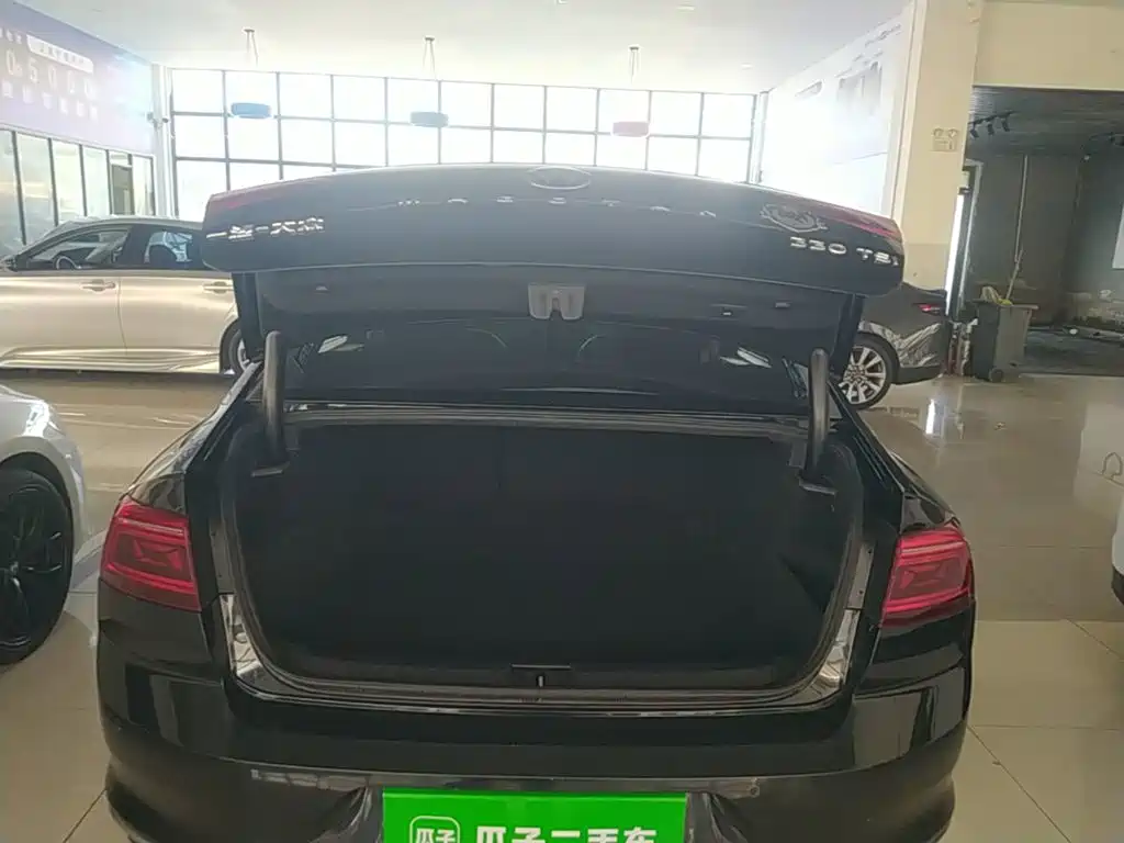 Volkswagen Magotan — миниатюра 19