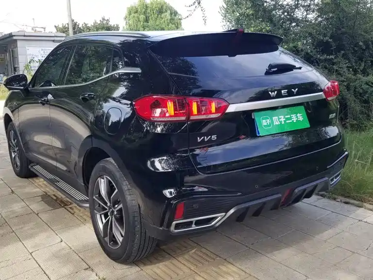 Wey Wey VV5 — миниатюра 5