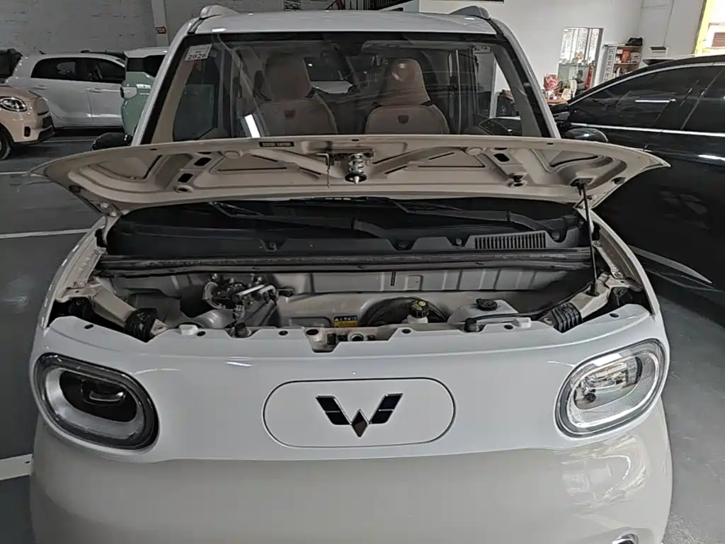 Wuling MINIEV — миниатюра 20