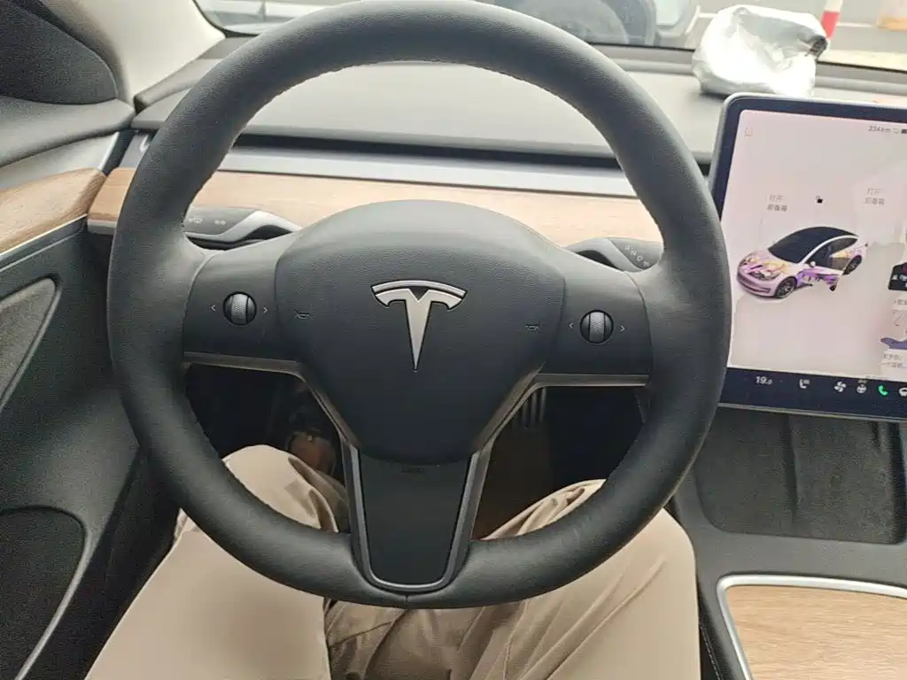 Tesla Model 3 — миниатюра 11