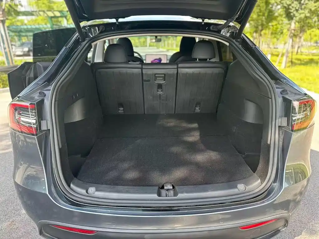 Tesla Model Y — миниатюра 7