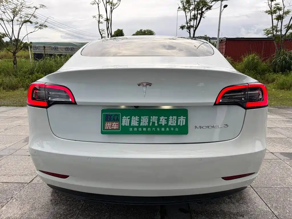 Tesla Model 3 — миниатюра 4