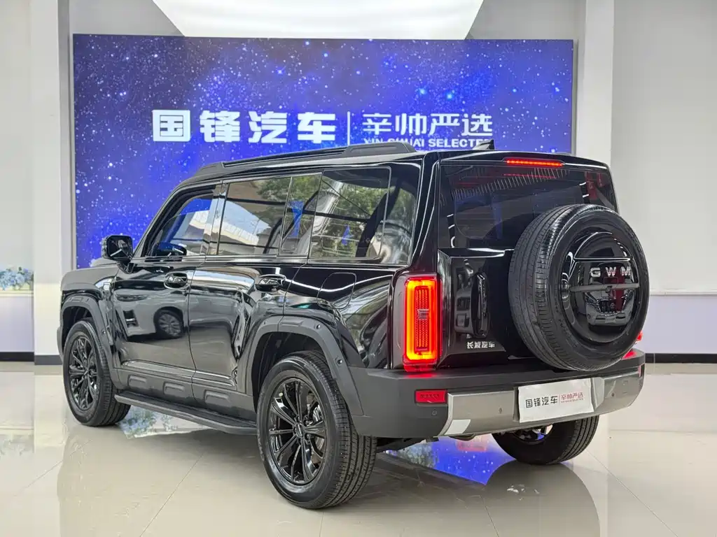 Haval Menglong New Energy — миниатюра 6