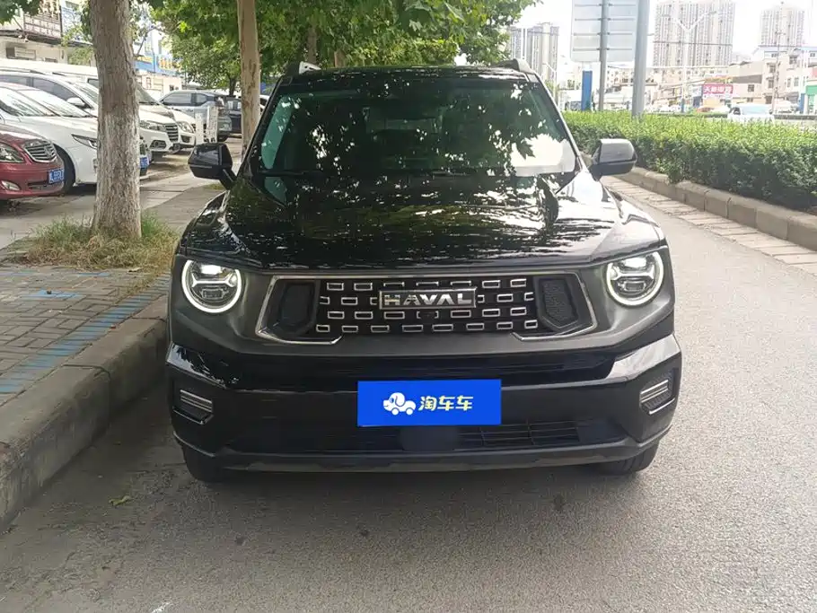Haval Big Dog PLUS — миниатюра 2