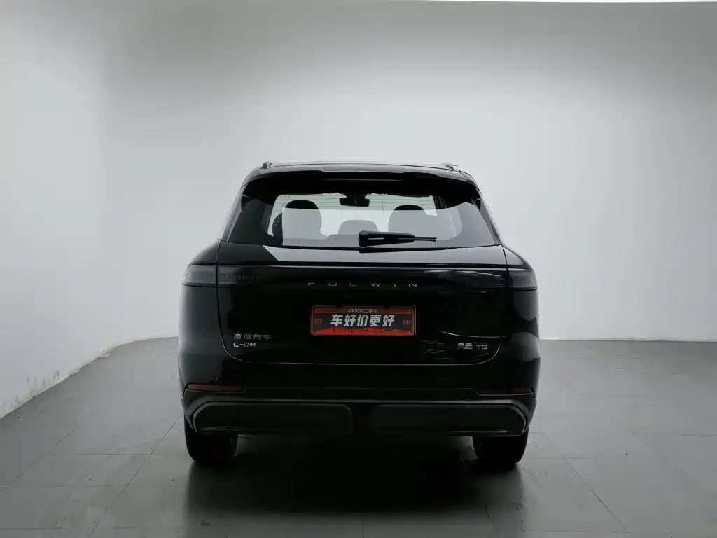 Fulwin Fengyun T9 — миниатюра 4