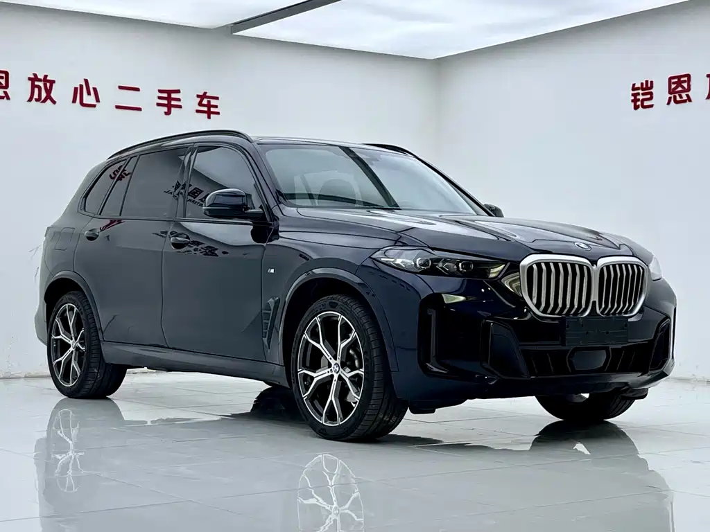 BMW X5 — миниатюра 3
