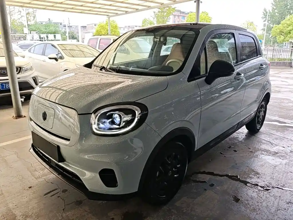Leapmotor Leapmotor T03