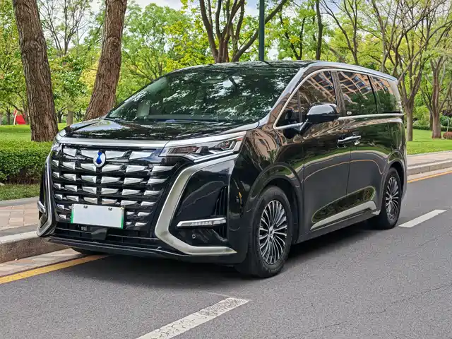 2025 Denza D9