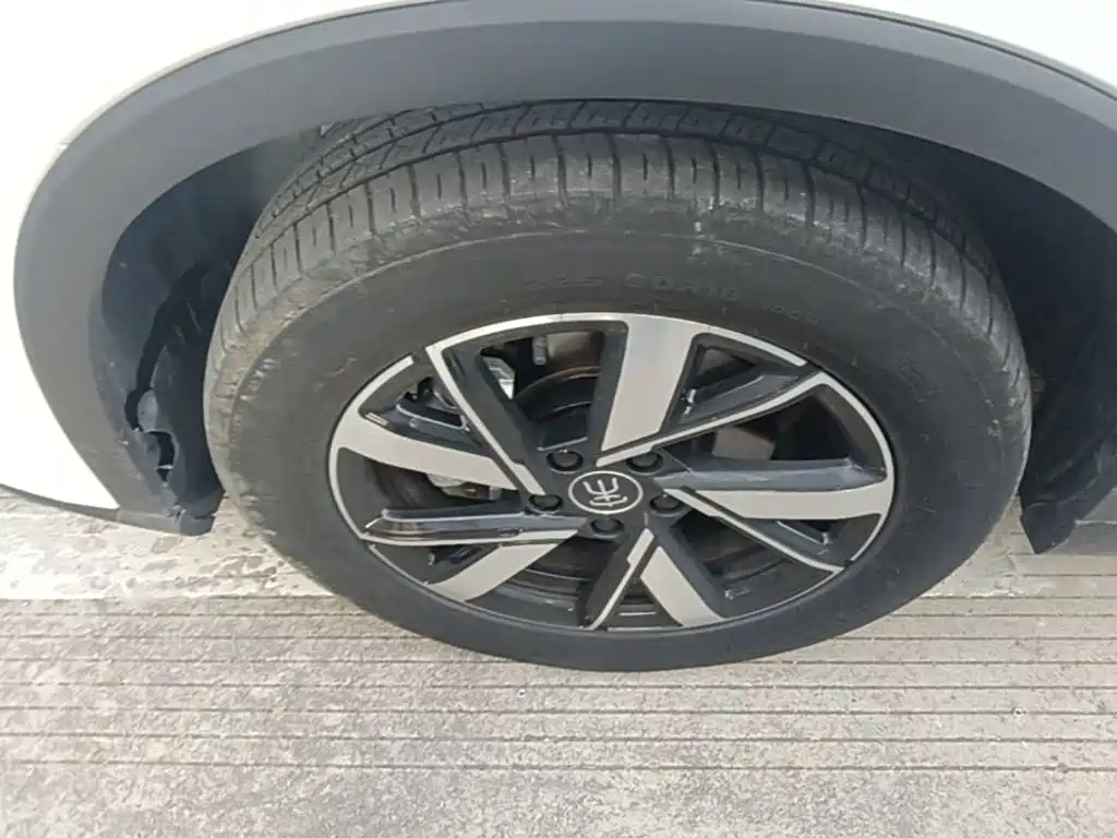 BYD Pro New Energy — миниатюра 23
