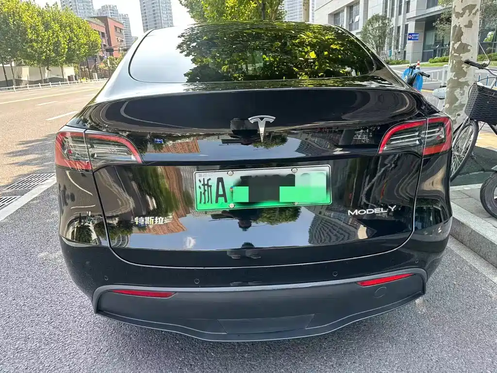 Tesla Model Y — миниатюра 4