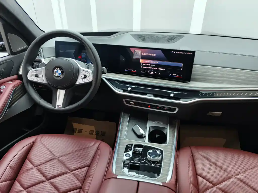 BMW X5 — миниатюра 9