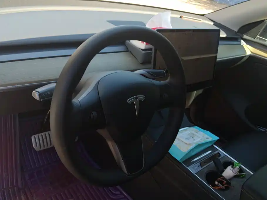 Tesla Model Y — миниатюра 12