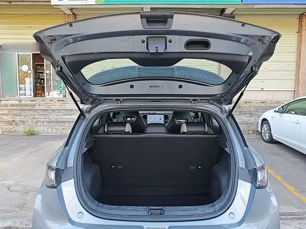 BYD Dolphin — миниатюра 19