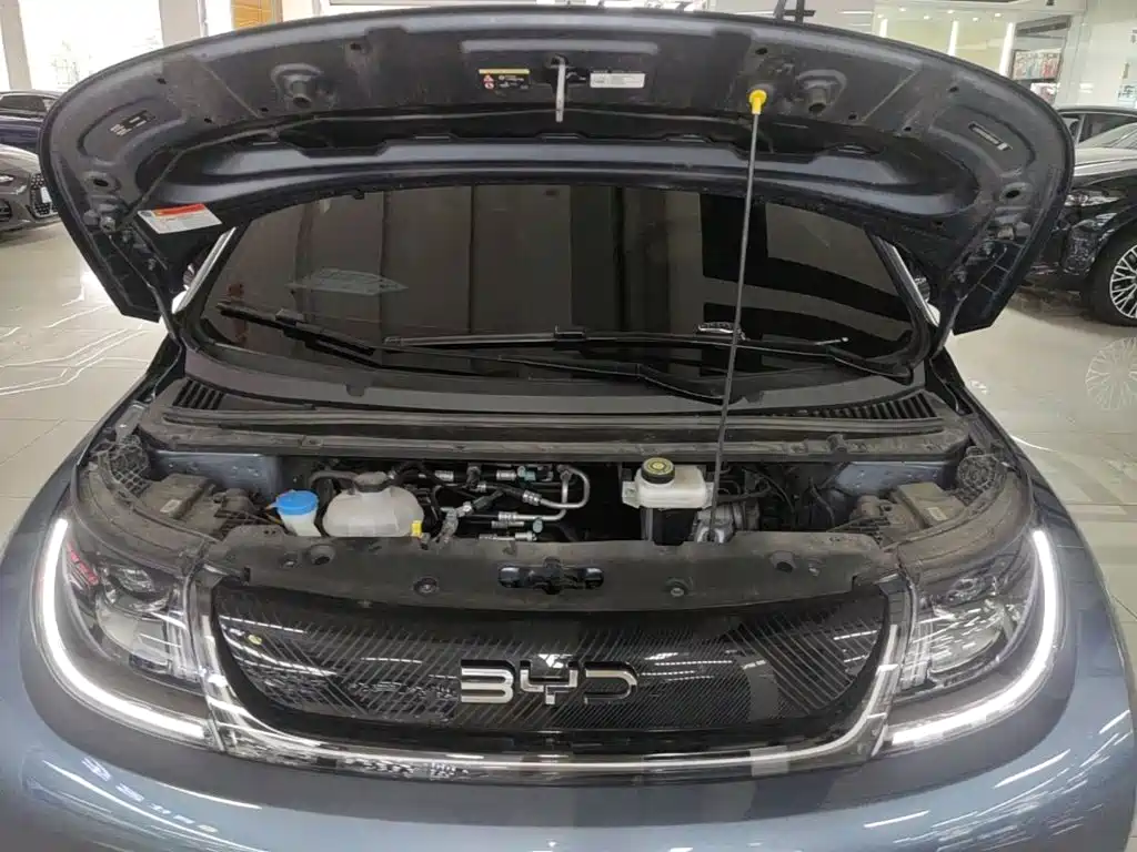 BYD Dolphin — миниатюра 20