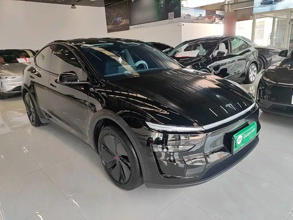 Tesla Model Y — миниатюра 4