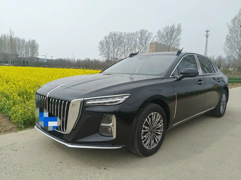 Hongqi Hongqi H5 2025