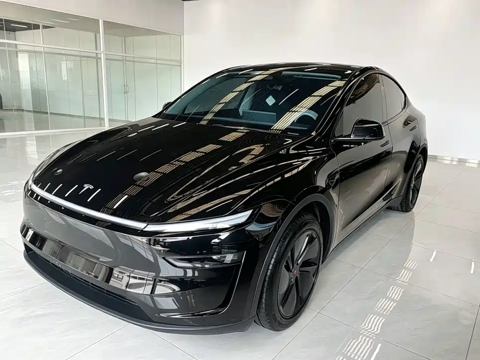 Tesla Model Y — миниатюра 2