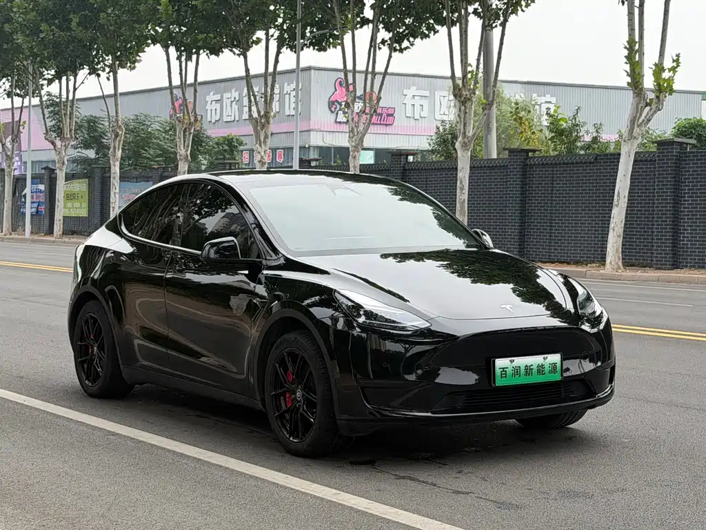 Tesla Model Y — миниатюра 2