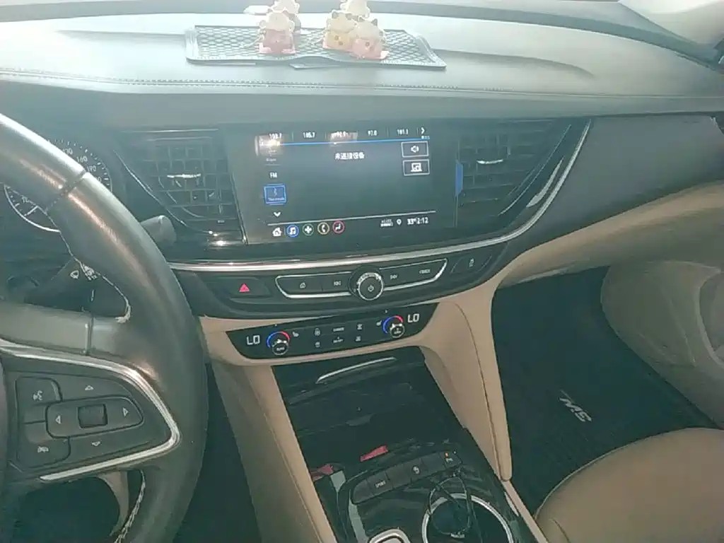 Buick Regal — миниатюра 13