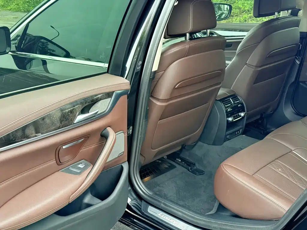 BMW 5 Series 5 2021 530Li Premium Luxury
